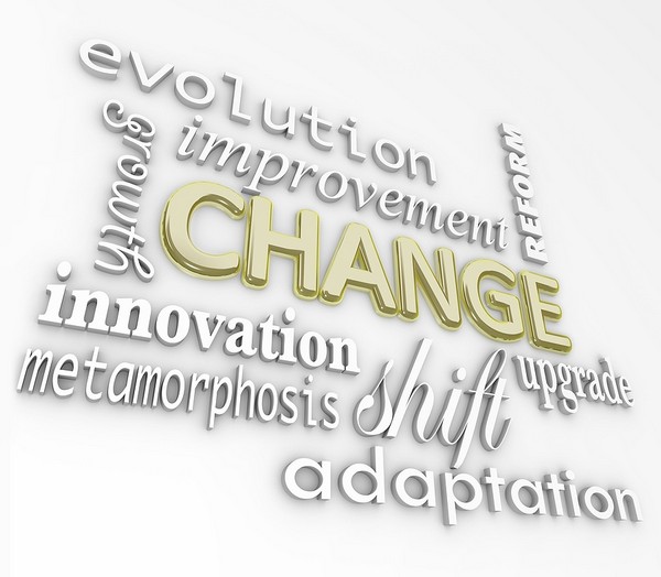 We can assist you in bringing about real change in your organisation